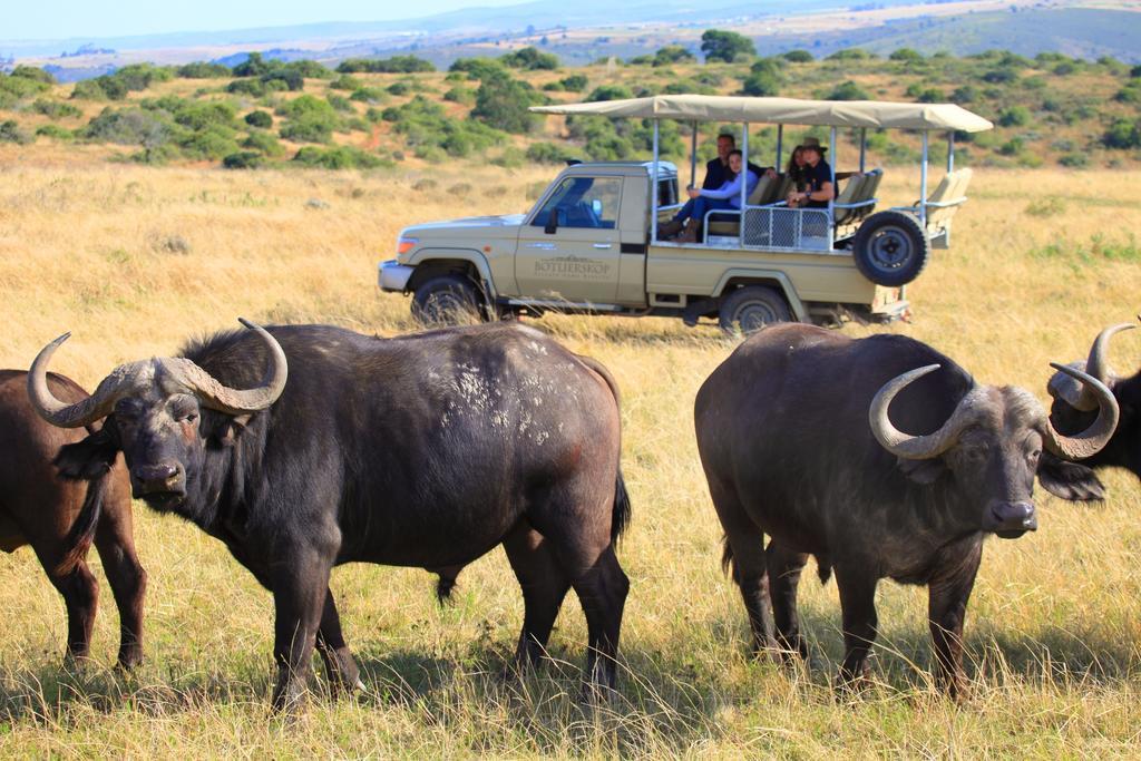 Reebok Botlierskop Private Game Reserve מראה חיצוני תמונה