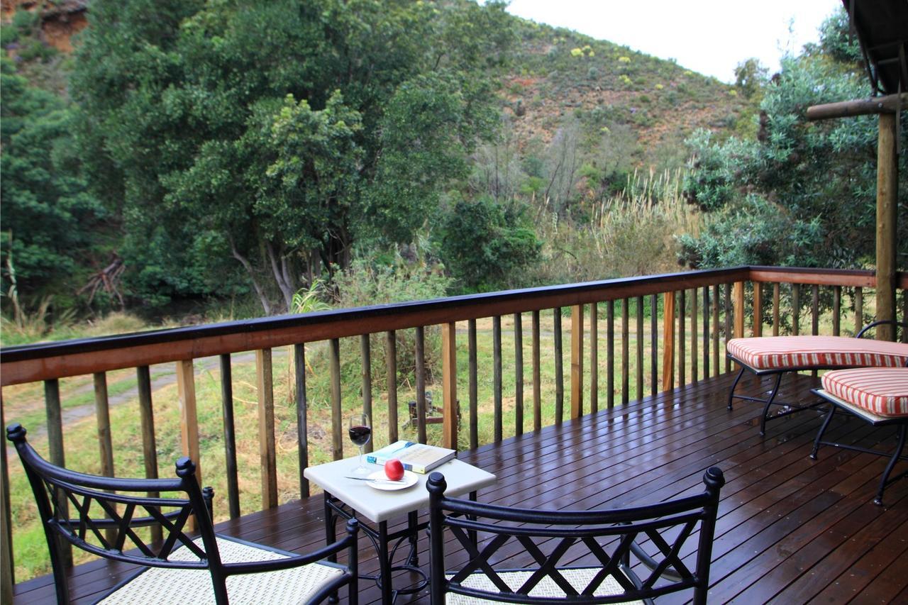 Reebok Botlierskop Private Game Reserve מראה חיצוני תמונה